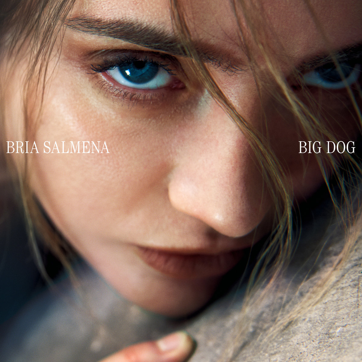 BIG DOG - BRIA SALMENA