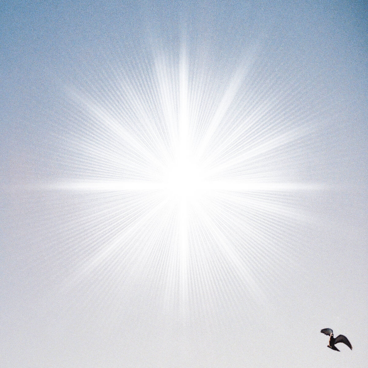 CAM - MARIE CÉLESTE