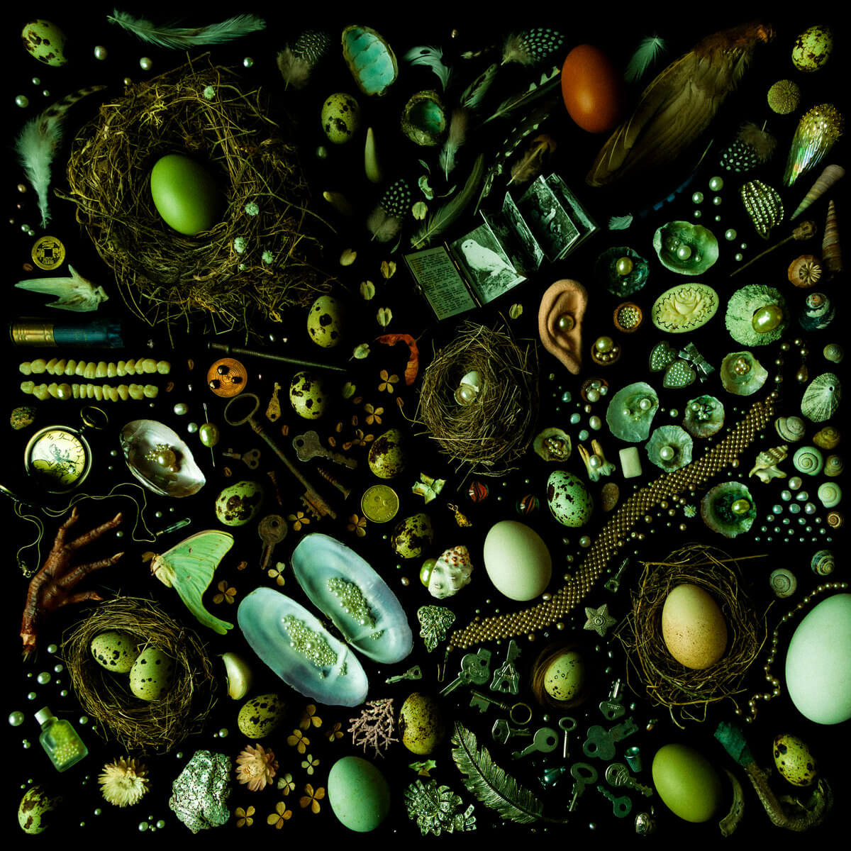 OUBLIETTE - DIAMOND DAY