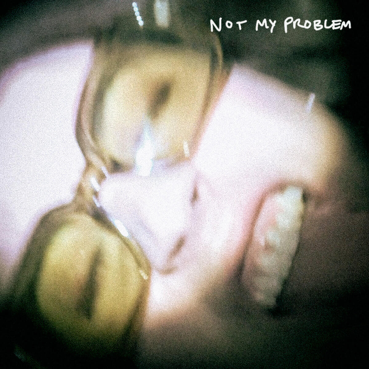 NOT MY PROBLEM - LES SHIRLEY