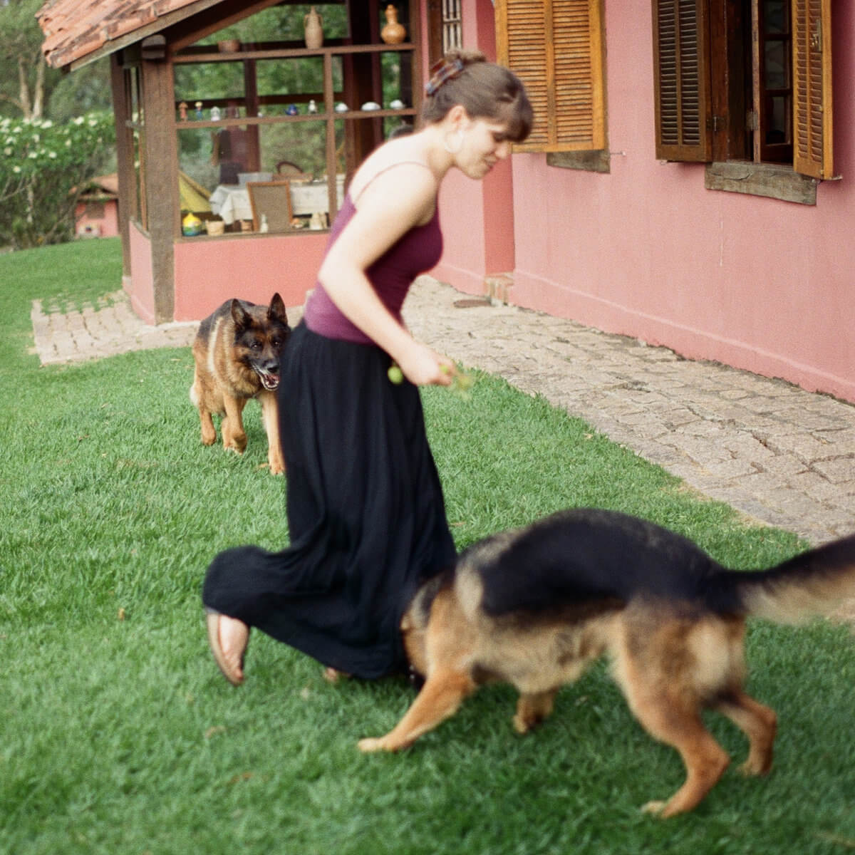 DOG (EVERYBODY LEARNS) - AVRIL JENSEN