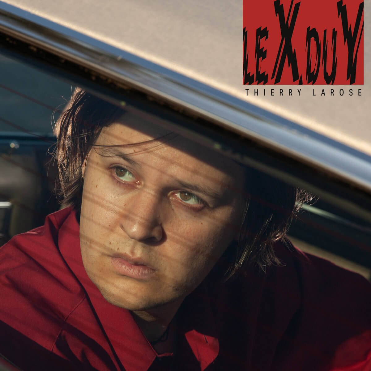 LE X DU Y - THIERRY LAROSE