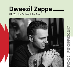 Palais Montcalm - Dweezil Zappa