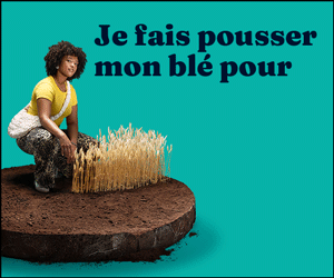 Retraite Québec - Blé an 2 Automne 2025