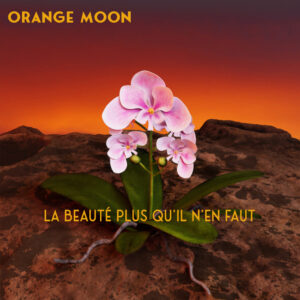 Pochette extrait La beauté plus qu'il n'en faut de Orange Moon